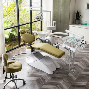 Safety CE CB ISO Approved Leather 5 Years Warranty <strong>Dental</strong> Clinic <strong>Chair</strong> in Brazil WATER DISINFECTION <strong>Dental</strong> <strong>Chair</strong> - Product Image 3