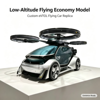 Modèle d'affichage économique pour vols à basse altitude personnalisé