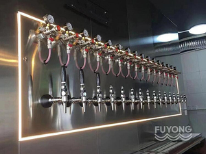 Fuyong Tùy Chỉnh Thép Không Gỉ Dự Thảo Bia Dispenser Tap Tự Phục Vụ Tường Cooler Hệ Thống Cho Bia & Rượu Vang Cho Nhà Sử Dụng Thương Mại - Product Image 5