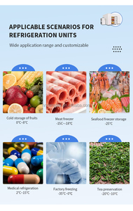 Contenedor Sellado, Congelador Industrial, Unidad <span class=keywords><strong>de</strong></span> Refrigeración para Almacenamiento en Frío con Compresor Copeland, Sistema <span class=keywords><strong>de</strong></span> Refrigeración por Aire para Carne y Pescado - Product Image 4