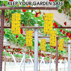 Offre Spéciale jaune champignon moucheron pièges pour <span class=keywords><strong>maison</strong></span> intérieur mouche colle papier intérieur pour insecte moucherons tueur piège - Product Image 5