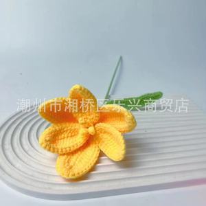 Bouquet de fleurs en laine colorées, tissées à la main, cadeau personnalisé, fleurs au crochet faites à la main, cadeau pour elle - Product Image 4