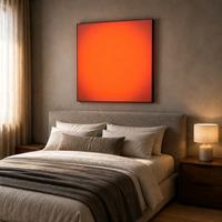 Lampe murale artistique Tianlang Art Déco avec cadre en aluminium, contrôle par application et variateur de lumière, idéale pour les célébrations d'anniversaire et du Ramadan