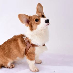 Arnés protector de cuero para perros de protección/ataque para Malinois belgas, Bulldog americano, Raza <span class=keywords><strong>Cane</strong></span> Corsos - Product Image 5