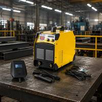 Vente directe d'usine, machine à souder portable DC220V/110V Inverter MMA160/140/120 ampères, adaptée à un usage domestique et industriel