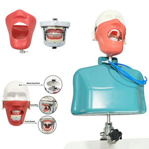 YOUYA DENTAL MX-108 Modèle de tête et de corps de mannequin pour la formation dentaire, équipement de pratique pour l'enseignement en dentisterie - Product Image 1