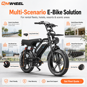 Bicicleta eléctrica QMWHEEL V20 Limited 48V, bicicleta eléctrica urbana para adultos, bicicleta eléctrica con llantas gruesas, batería de litio, bicicleta eléctrica todoterreno para flotas de alquiler. - Product Image 1
