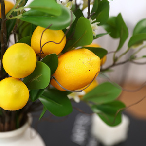 Artificial Lemon Plant Bundle 56cm Soft Plastic Home Decor Wedding Props - Product Image 4