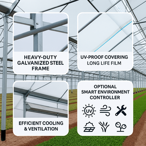Nouvel arrivage Film plastique photovoltaïque de plain-pied Serres vertes agricoles pour tomates pour fermes commerciales - Product Image 2