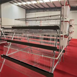 Cages à poulets de type <span class=keywords><strong>A</strong></span> à faible coût, 3 niveaux, conception manuelle pour les <span class=keywords><strong>petits</strong></span> éleveurs de volailles, fonctionnement manuel, cage d'élevage de volailles de type <span class=keywords><strong>A</strong></span> - Product Image 4