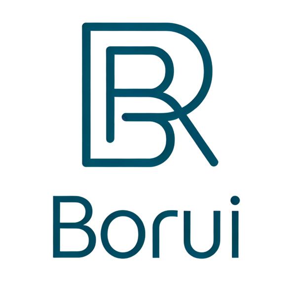 Zhongshan Borui Hardware Products Co., Ltd. logo