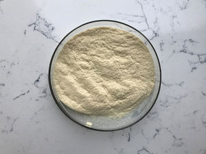 Stichopus Variegatus Semper Source Polvo de extracto de pepino de mar liofilizado hidrolizado - Product Image 3