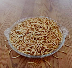 Mealworm Vàng mealworm chim rùa hamster đặc biệt Snack sâu khô thức ăn chim bồ câu thực phẩm - Product Image 2