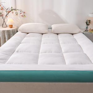 Colchón Transfronterizo Tridimensional de Plumas, Terciopelo, Poliéster y Fibra de Soja, Acolchado Suave Cepillado para Hogar y Dormitorio Estudiantil - Product Image 4