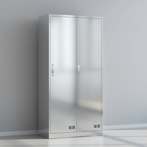 Modern Design Single 2 Door Hanging Clothes Stainless Steel Storage <b>Locker</b> for School Hospital Room - Product Image 1