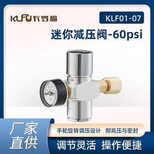 วาล์วลดแรงดันขนาดเล็ก 60psi 1/4 นิ้ว แบบตรง สำหรับถังเบียร์ ตัวควบคุม CO2 - Product Image 5