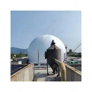 Customized Biogas Portable cow dung biogas digester system 100kw biogas generator price with storage bag