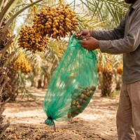 100% Nieuwe HDPE Fruit Dadelboom Beschermingsnetten Monofilament Dadelboom Boombeschermingsnetten Dadel Fruit Bescherming