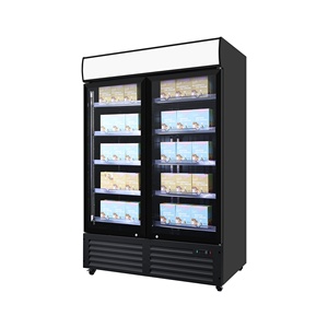 Présentoir à double porte coulissante pour réfrigérateur, bouteille de boisson, cola, étagère verticale en verre pour réfrigérateur - Product Image 1
