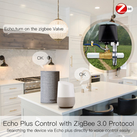 Vanne d'eau intelligente ZigBee3.0, vanne de gaz/eau automatique, contrôleur Wi-Fi, application de contrôle à distance sans fil, fonctionne avec un capteur de fuite d'eau