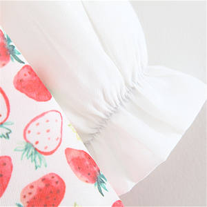 Se Busca Distribuidor: Disfraces de Frutas Importadas para Niños, Material para Vestidos, Compra en Línea, Precio - Product Image 5