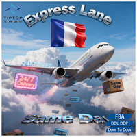 Servicio de Logística DDP, Transporte Aéreo, Mensajería, Envío Exprés, Agente de Transporte de China a Estados Unidos, Canadá, Reino Unido, Francia, España, México