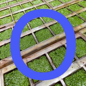 하이 퀄리티 두바이 초콜릿 피스타치오 잼 최우수 판매자 공장 직접 도매 OEM ODM 전문 제조 - Product Image 5