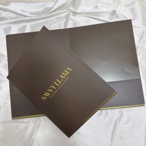 Tùy Chỉnh In Matt Văn Phòng Tài Liệu Trình Bày Pocket Thư Mục Giấy Tập Tin Đen Trường Bệnh Viện Bất Động Sản Thư Mục Với Logo UV - Product Image 2