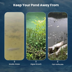 เครื่องอัดอากาศแบบลูกสูบ<span class=keywords><strong>โยก</strong></span>คุณภาพสูง 220V/110V ไม่ใช้น้ำมัน ประสิทธิภาพสูง สำหรับการเติมอากาศในน้ำลึก เหมาะสำหรับงานขนาดเล็ก - Product Image 3