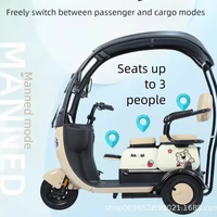 Tricycle électrique 3 places avec auvent pare-soleil, démarrage à distance, antivol, scooter familial, batterie au plomb 60V 72V double usage