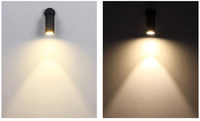 Lumière LED à piquet extérieure IP65 AC 10W, lampe de jardin, lampe de pelouse, 220V 110V 12V, éclairage paysager, spot étanche