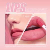 Rouge à lèvres liquide mat nude à faible MOQ, 12 couleurs, rouge intense, longue tenue, résistant aux baisers, marque privée