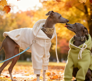 Sweat à capuche sportif en coton couleur unie pour <span class=keywords><strong>chien</strong></span>, automne-hiver, pour lévrier italien, whippet, <span class=keywords><strong>saluki</strong></span>, bedlington terrier -1 - Product Image 5