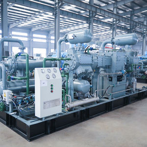 China marca GLP CNG liquefeito gás de petróleo compressor pequeno biogás compressor - Product Image 6