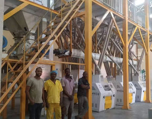 Équipement de mouture du maïs à vendre 20T 30T 50T 60T Usine de moulin à <span class=keywords><strong>farine</strong></span> de maïs automatique Machine à haut rendement Bon prix <span class=keywords><strong>Pas</strong></span> <span class=keywords><strong>cher</strong></span> - Product Image 6