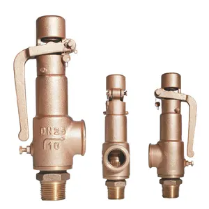High Quality Spring Slightly Open Threaded Safety Valve High Pressure Thermo Electric Safety Device Brass Safety Valve