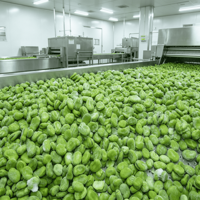 Fèves entières IQF certifiées de haute qualité, légumes entiers, prix compétitif, quantité en vrac, vente en gros