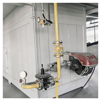 Horno Industrial de Recubrimiento en Polvo con Gas LPG, Diseño de Ahorro de Energía para Línea de Producción de Pulverización de Piezas Metálicas