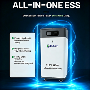 Frais et taxes inclus (DDP) pour la <span class=keywords><strong>Pologne</strong></span> -- Système hors réseau tout-en-un 51.2V 314Ah 16KWh+5KW avec onduleur et BMS JK, livraison en 2 mois, stock CN - Product Image 1