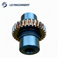 LS03-066 Kit d'engrenages à vis sans fin en acier inoxydable pour usinage CNC de précision, comprenant roue à engrenages, pièces d'engrenage et arbre à vis sans fin pour robot