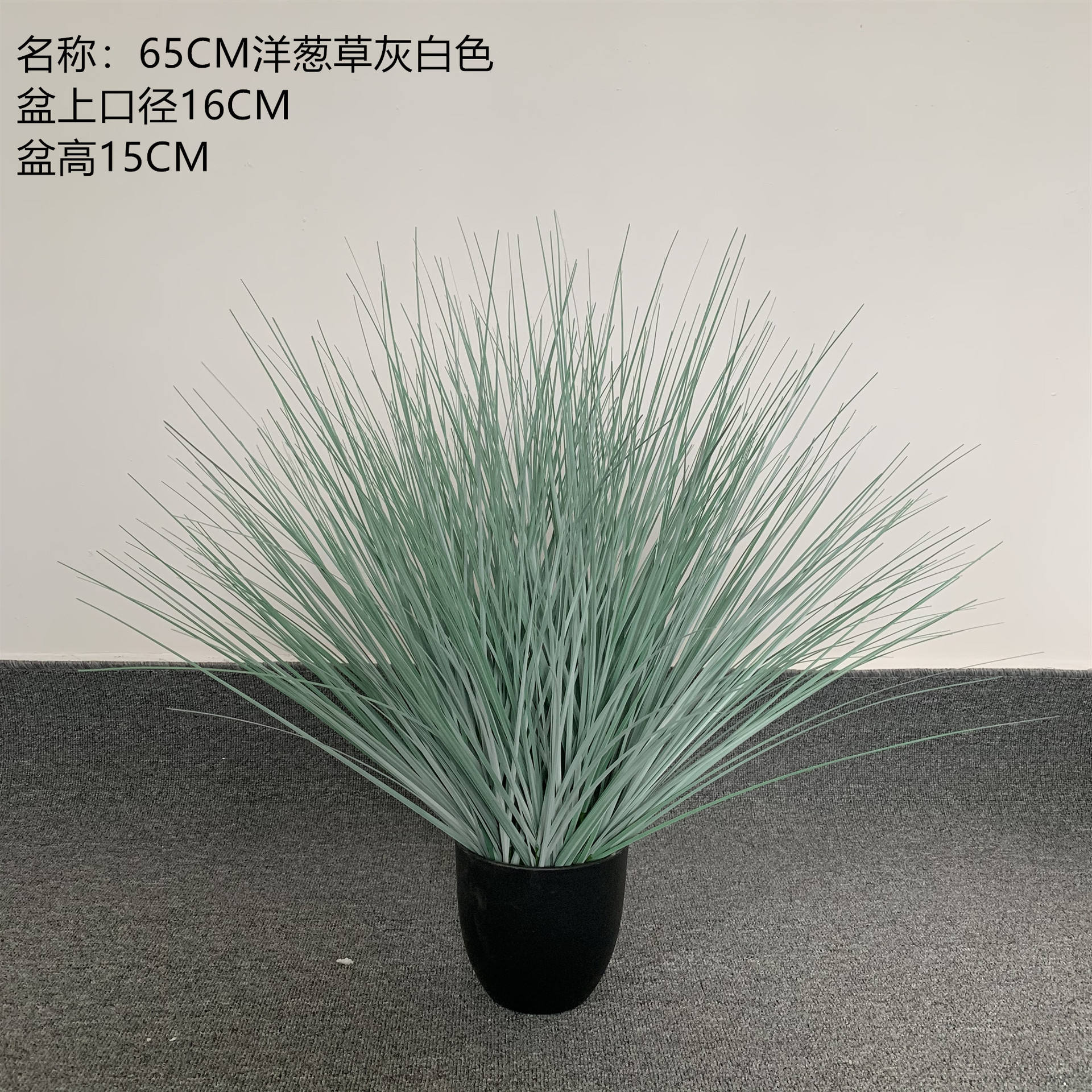 65CM oignon herbe gris Blanc