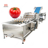 Machine à laver et sèche-légumes automatique, pour le lavage des fruits secs, usage Commercial, kg