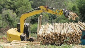 Pinza para Troncos Giratoria de 70-500 mm, Duradera y Eficiente, para Excavadoras de 4-9 Toneladas, con Componentes Principales: Motor, Bomba, Engranaje y Rodamiento, Directo de Fábrica - Product Image 5