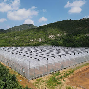 Serre Agricole Complète avec Couverture en Plastique pour Légumes Extérieurs - Invernadero de Plástico avec Film Plastique - Product Image 4