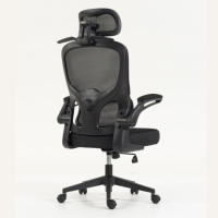 Échantillon Gratuit - Chaise de Bureau en Maille Haut de Gamme, Réglable, Durable, Ergonomique avec Support Lombaire, Pivotante à 360°, Roulettes Fluides, pour Adultes au Travail
