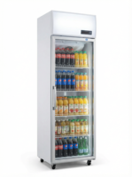 Congélateur vertical à deux portes, vitrine réfrigérée, congélateur profond, refroidisseur de boissons à température unique pour usage en supermarché