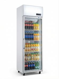 Congelatore Verticale a Doppia Anta con Espositore Refrigerato Monotemperatura per Bevande, per Supermercati - Product Image 3