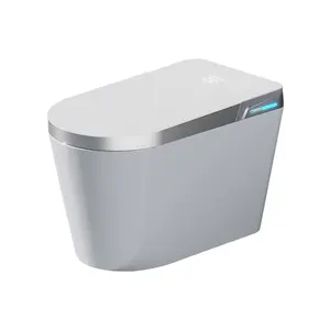 Sanitaire de luxe style moderne fonctionnement entièrement automatique bidet électrique siphonique chasse d'eau intelligente wc toilette intelligente