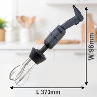 Mixeur Plongeant Commercial en Acier Inoxydable pour Usage Domestique et Alimentaire
