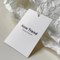 Étiquettes de vêtements de haute qualité, meilleur prix, impression personnalisée du logo, étiquettes de suspension en papier de haute qualité avec cordon en corde pour les vêtements